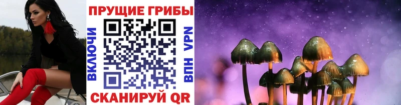 Галлюциногенные грибы GOLDEN TEACHER MEGA Кстово что такое наркотик
